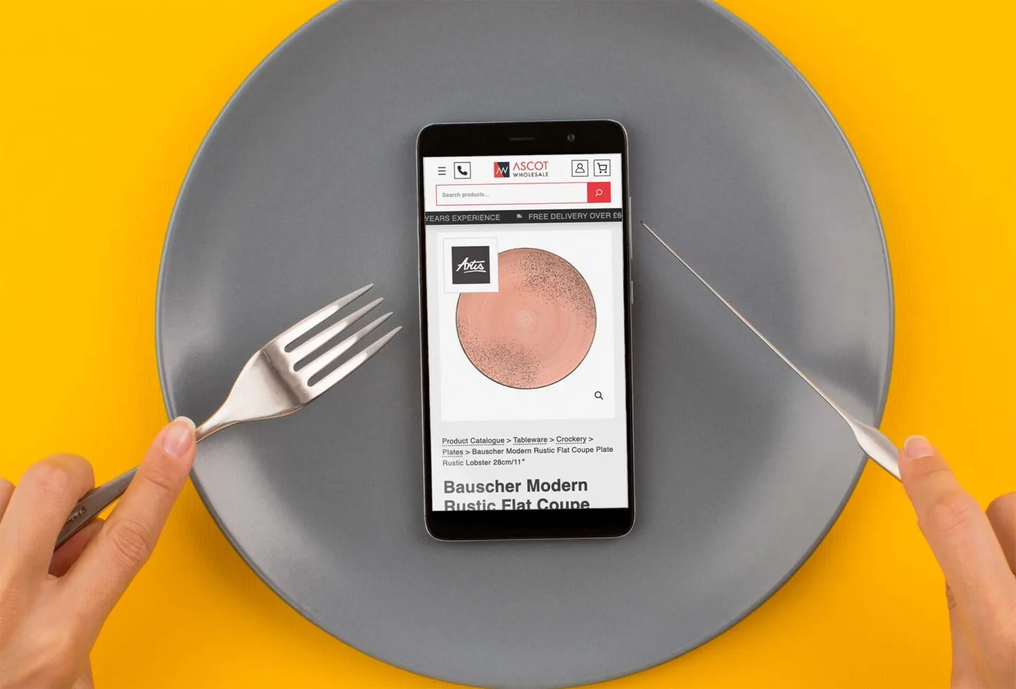 Ascot Wholesale Mobile Design